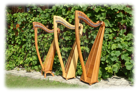 Santnerharps - meine Harfen